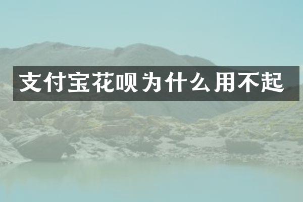 支付宝为什么用不起