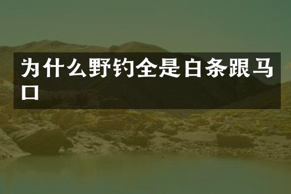 为什么野钓全是白条跟马口