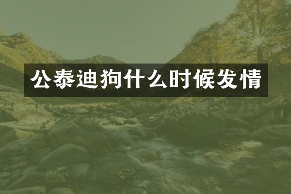 公泰迪狗什么时候发情