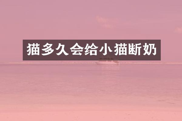 猫多久会给小猫断奶