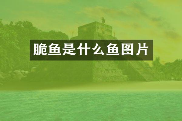 脆鱼是什么鱼图片