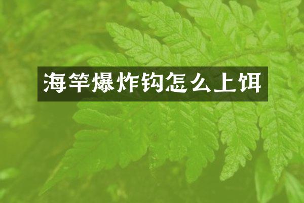 海竿爆炸钩怎么上饵