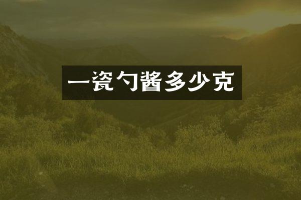 一瓷勺酱多少克