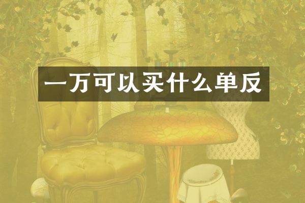 一万可以单反