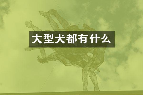 大型犬都有什么