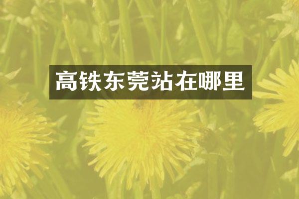 高铁东莞站在哪里
