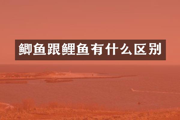 鲫鱼跟鲤鱼有什么区别