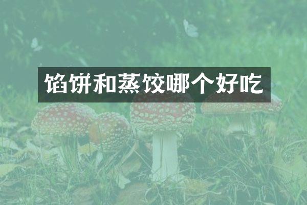 馅饼和蒸饺哪个好吃