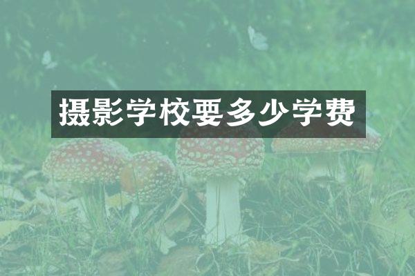 摄影学校要多少学费