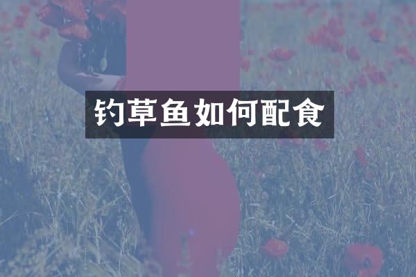 钓草鱼如何配食