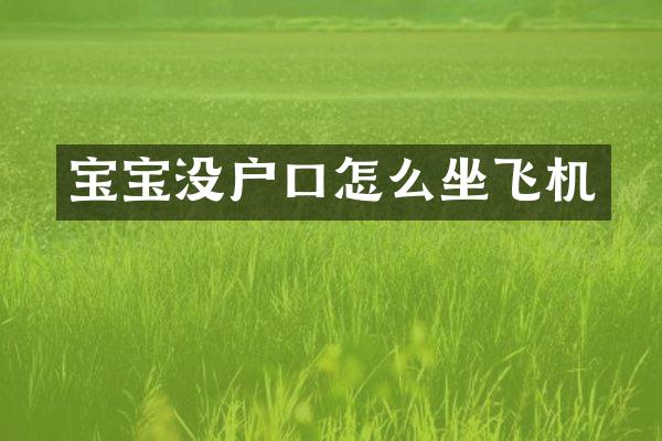 宝宝没户口怎么坐飞机