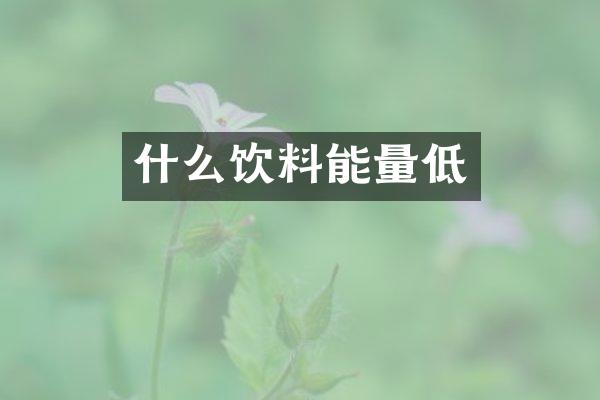 什么饮料能量低