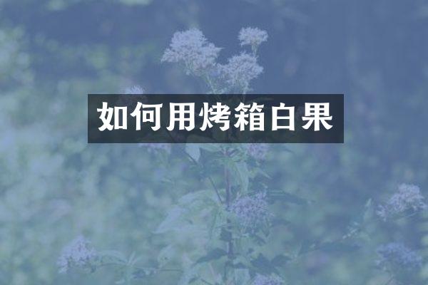 如何用烤箱白果
