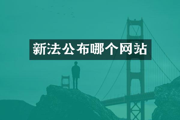 新法公布哪个网站