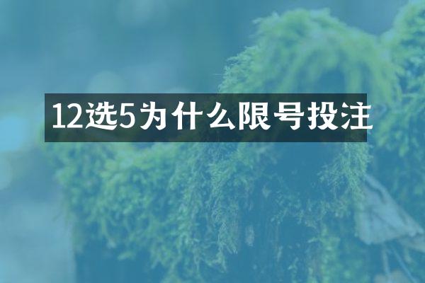 12选5为什么限号投注