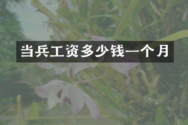 当兵工资多少钱一个月