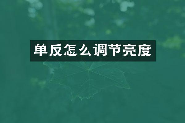 单反怎么调节亮度