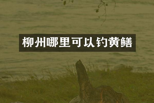 柳州哪里可以钓黄鳝