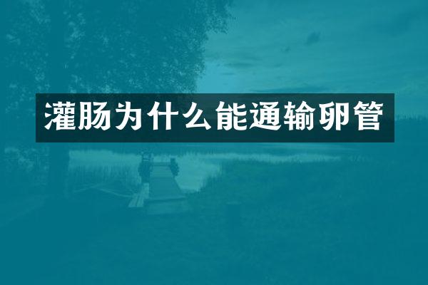 灌肠为什么能通输卵管