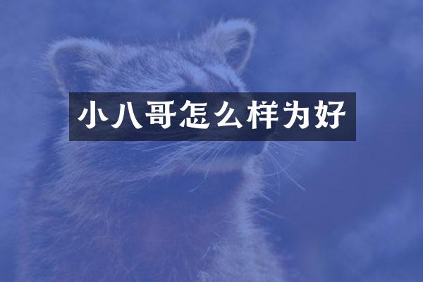 小八哥怎么样为好