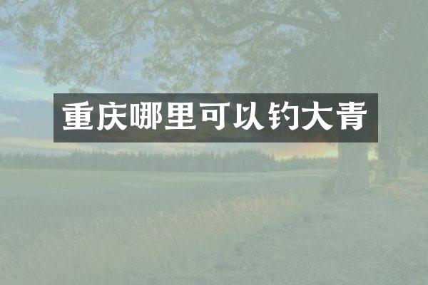 重庆哪里可以钓大青