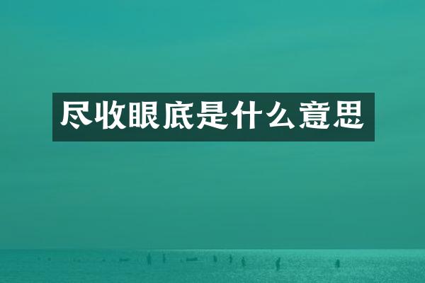 尽收眼底是什么意思