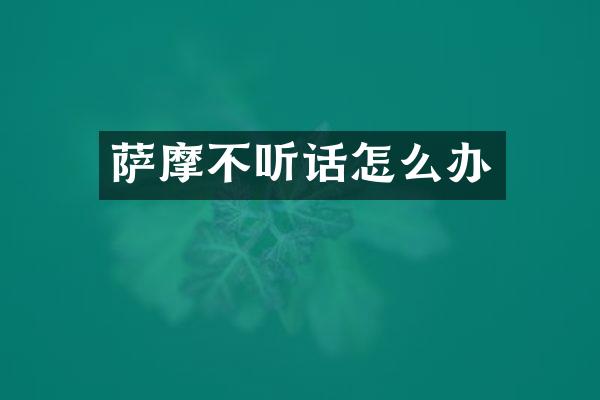萨摩不听话怎么办