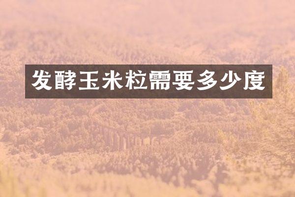 发酵玉米粒需要多少度