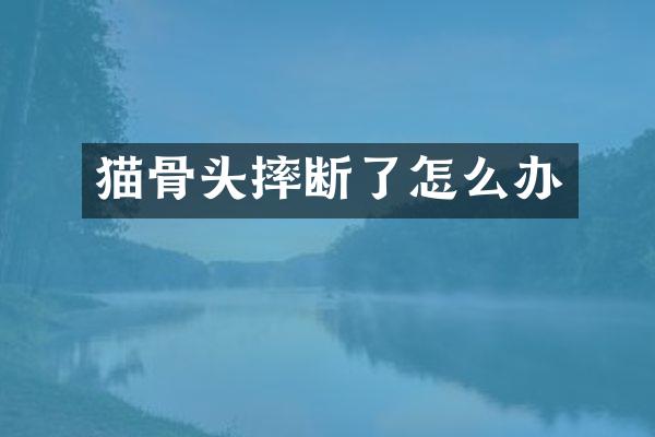 猫骨头摔断了怎么办