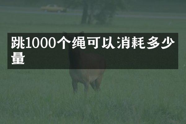 跳1000个绳可以消耗多少热量