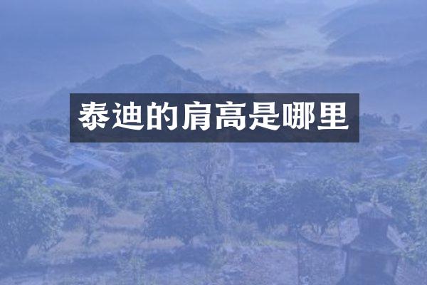 泰迪的肩高是哪里