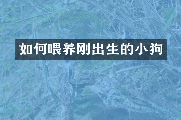 如何喂养刚出生的小狗