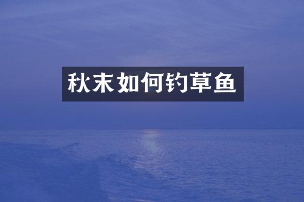 秋末如何钓草鱼
