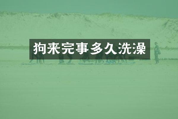 狗来完事多久洗澡