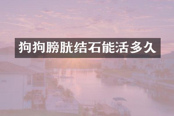 狗狗膀胱结石能活多久