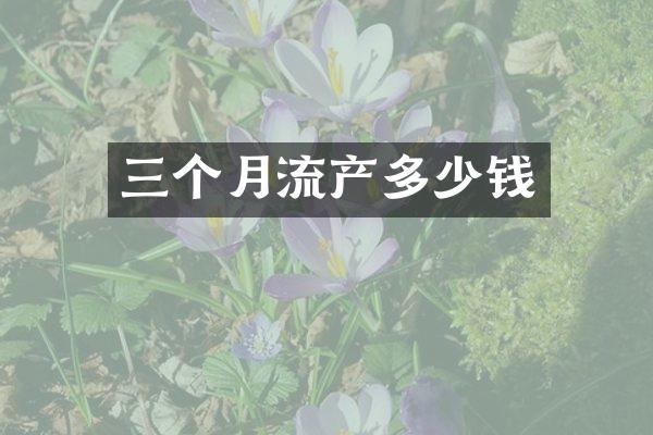 三个月流产多少钱