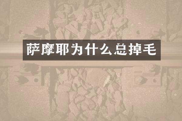 萨摩耶为什么总掉毛