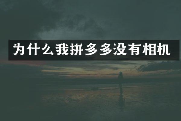 为什么我拼多多没有相机