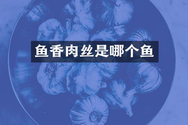 鱼香肉丝是哪个鱼