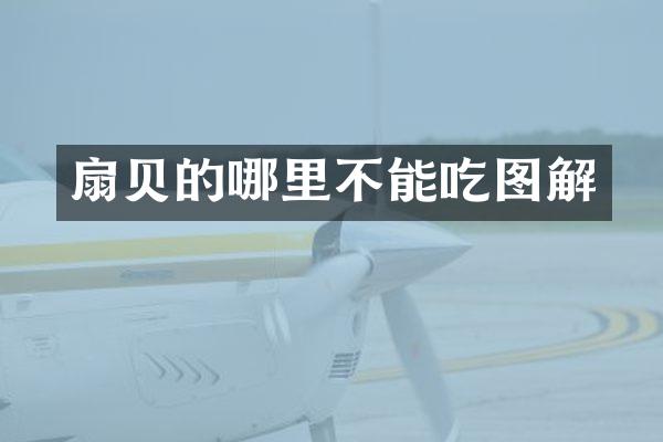 扇贝的哪里不能吃图解