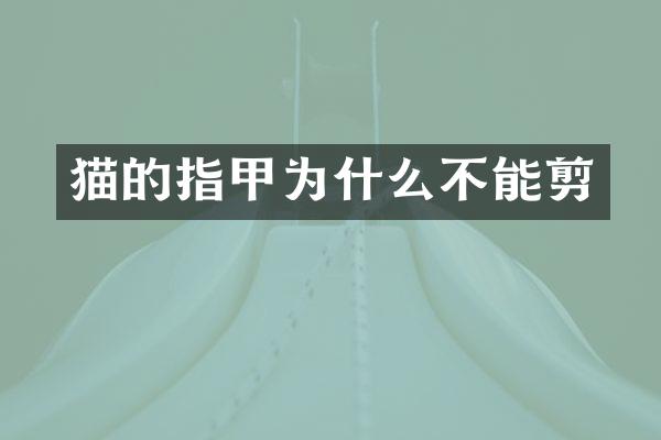 猫的指甲为什么不能剪