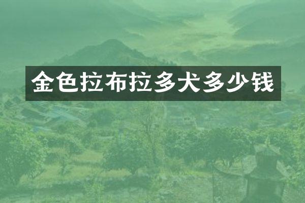 金色拉布拉多犬多少钱