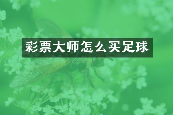 彩票大师怎么买足球