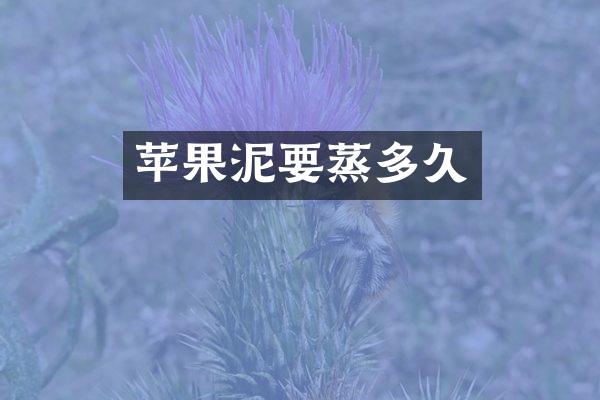 苹果泥要蒸多久