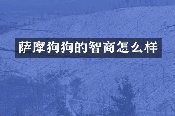 萨摩狗狗的智商怎么样