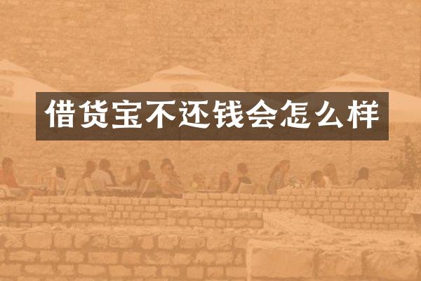 借货宝不还钱会怎么样