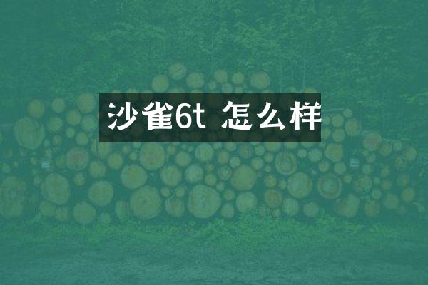 沙雀6t 怎么样
