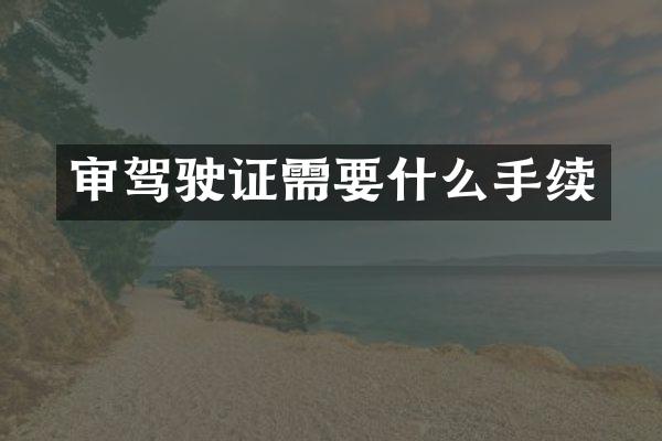 审驾驶证需要什么手续