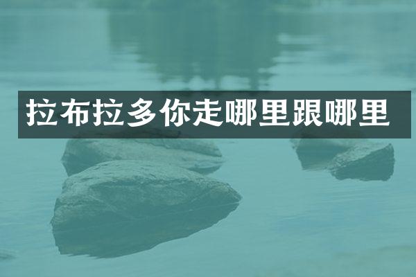 拉布拉多你走哪里跟哪里