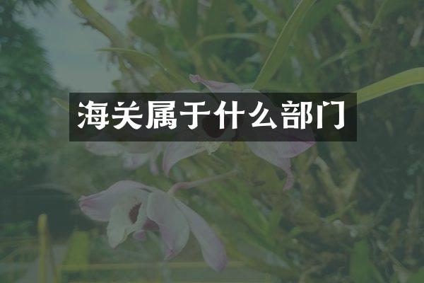 海关属于什么部门